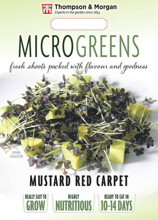 Thompson & Morgan (Uk) Ltd Gardening Microgreens Mustard Red Carpet