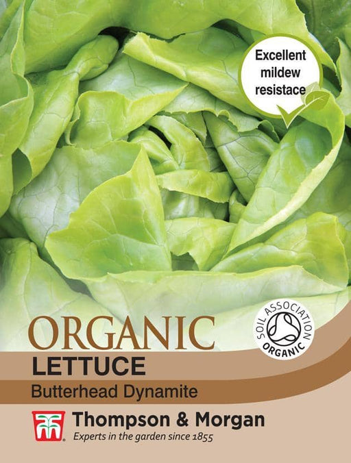 Thompson & Morgan (Uk) Ltd Gardening Lettuce Sylvesta (Butterhead) (Organic)