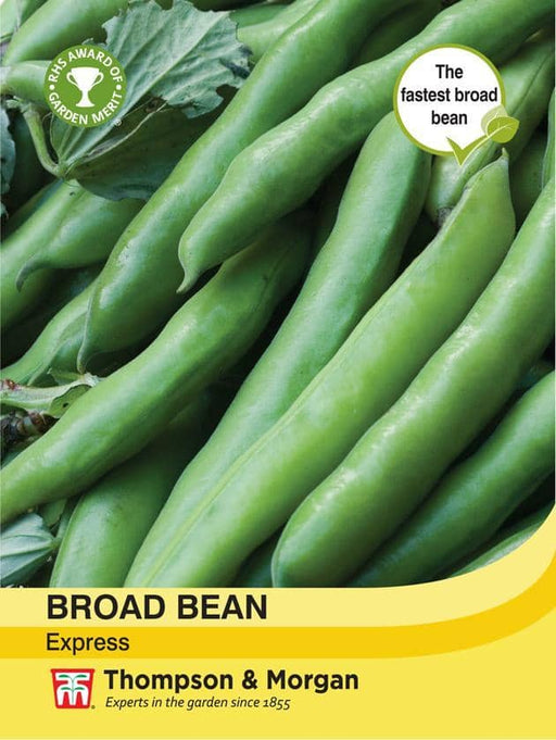 Thompson & Morgan (Uk) Ltd Gardening Broad Bean Express