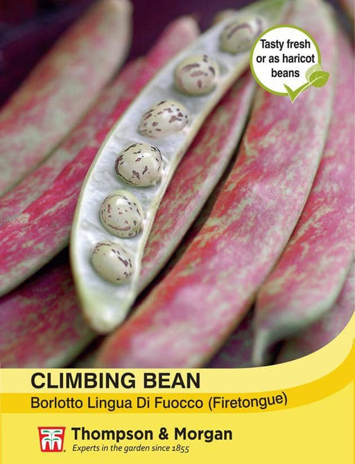 Thompson & Morgan (Uk) Ltd Gardening Climbing Bean Borlotto Lingua (Firetongue)