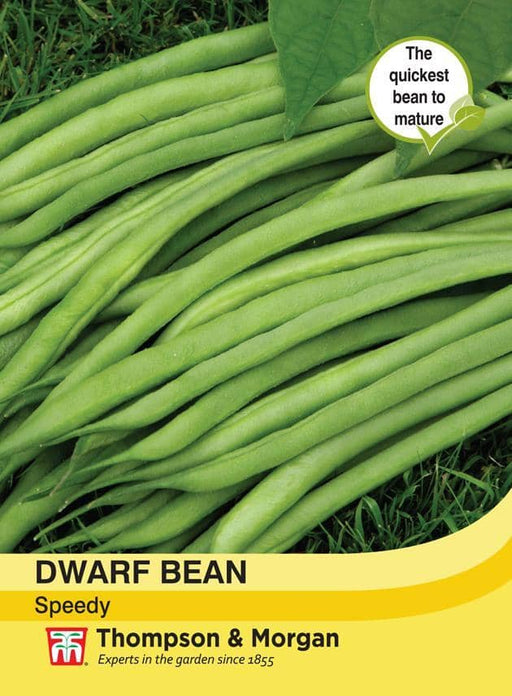 Thompson & Morgan (Uk) Ltd Gardening Dwarf Bean Speedy