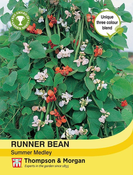 Thompson & Morgan (Uk) Ltd Gardening Runner Bean Summer Medley