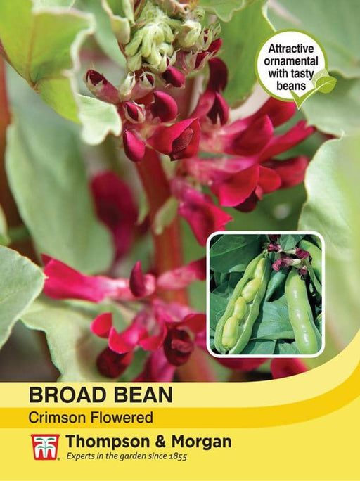 Thompson & Morgan (Uk) Ltd Gardening Broad Bean Crimson Flowered