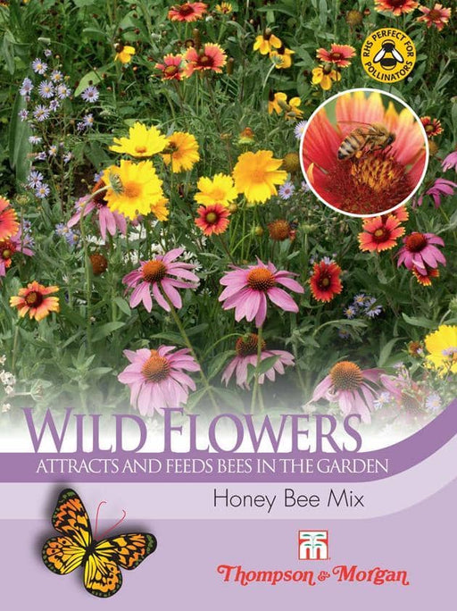 Thompson & Morgan (Uk) Ltd Gardening Wild Flower Honey Bee Flower Mixed