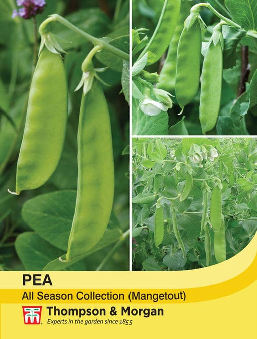 Thompson & Morgan (Uk) Ltd Gardening Pea Mix