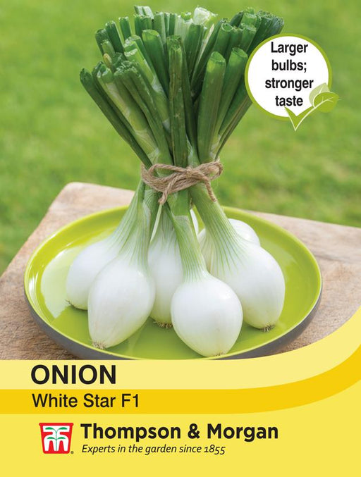 Thompson & Morgan (Uk) Ltd Gardening Onion White Star