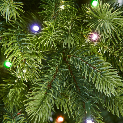 Bosk Oakley Fir Artificial Christmas Tree – 6.5ft (Pre-Lit & Unlit Options)
