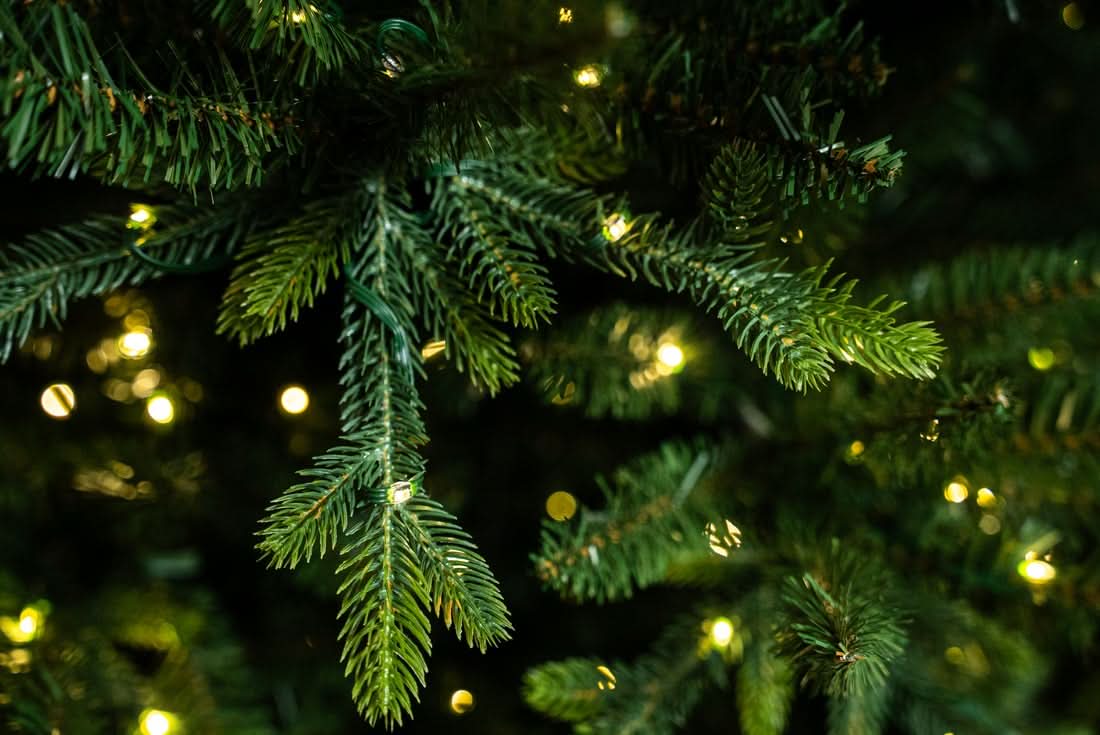 BOSK MONTPELLIER FIR TREE - 7.5ft & 8.5ft option with Colour Switch LED and Multi-action 16 Function Remote Control