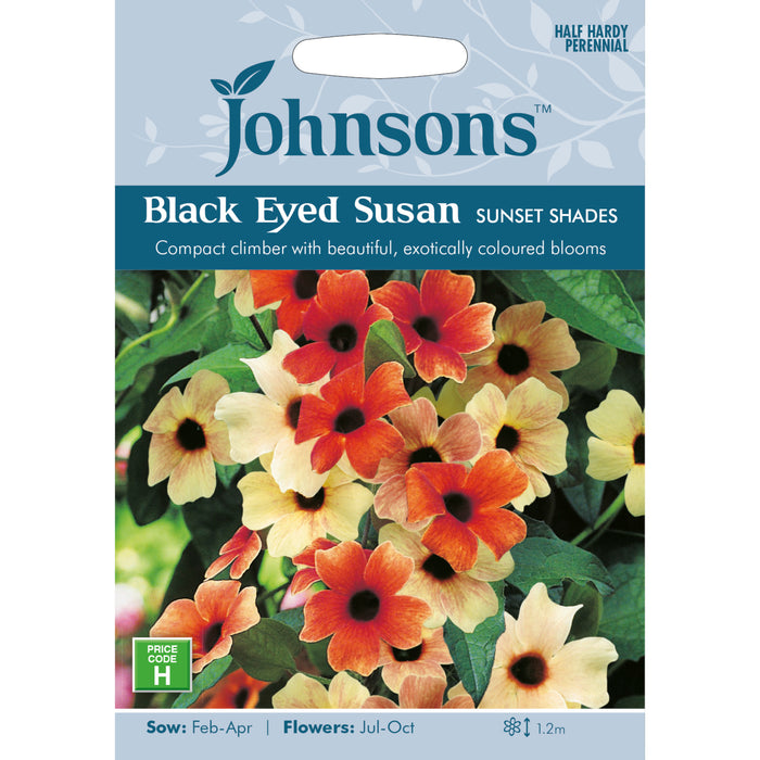 Flowers Black Eyed Susan Sunset Shades