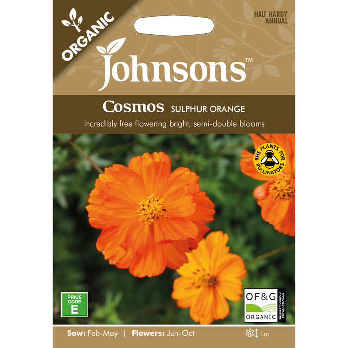 Flowers Organic Cosmos Sulphur Orange