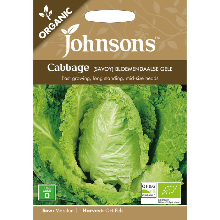 Vegetables Organic Cabbage (Savoy) Bloemendaalse Gele