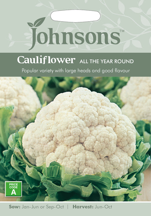 Vegetables Cauliflower All The Year Round