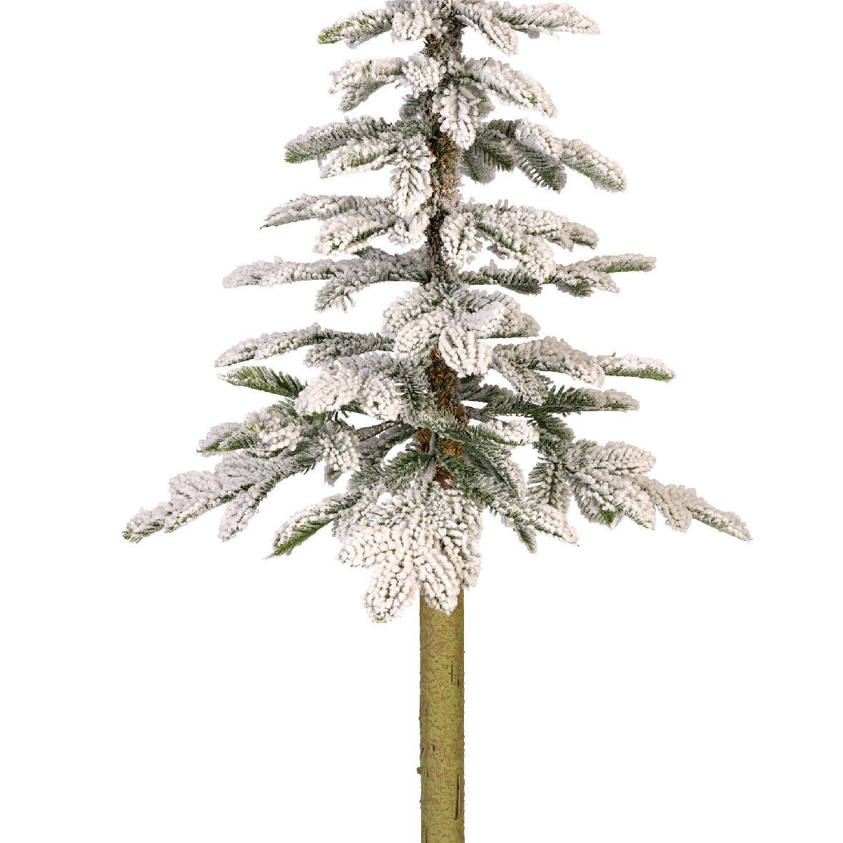 Everlands Snowy Alpine 150cm (5ft)