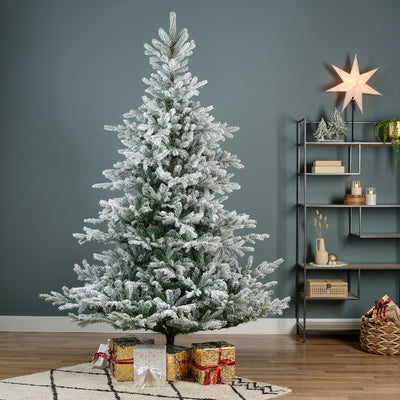 Everlands Grandis Fir Snowy Christmas Tree 7ft / 210cm