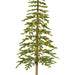 Pre Lit Alpine Fir Tree 210cm / 7ft | Kaemingk Everlands