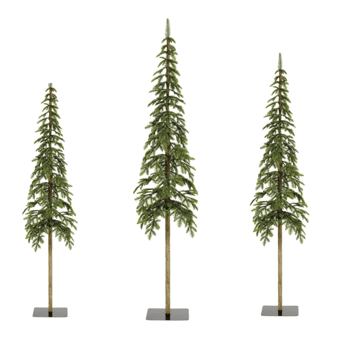 Everlands Alpine Fir Duo of Trees (5ft, 6ft)