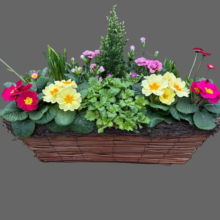 Planted Rattan Trough Basket