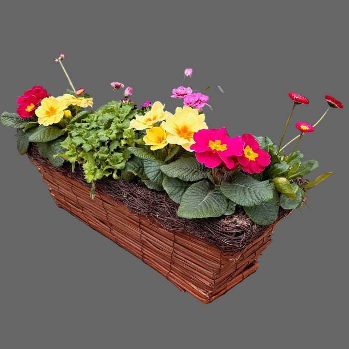 Planted Rattan Trough Basket