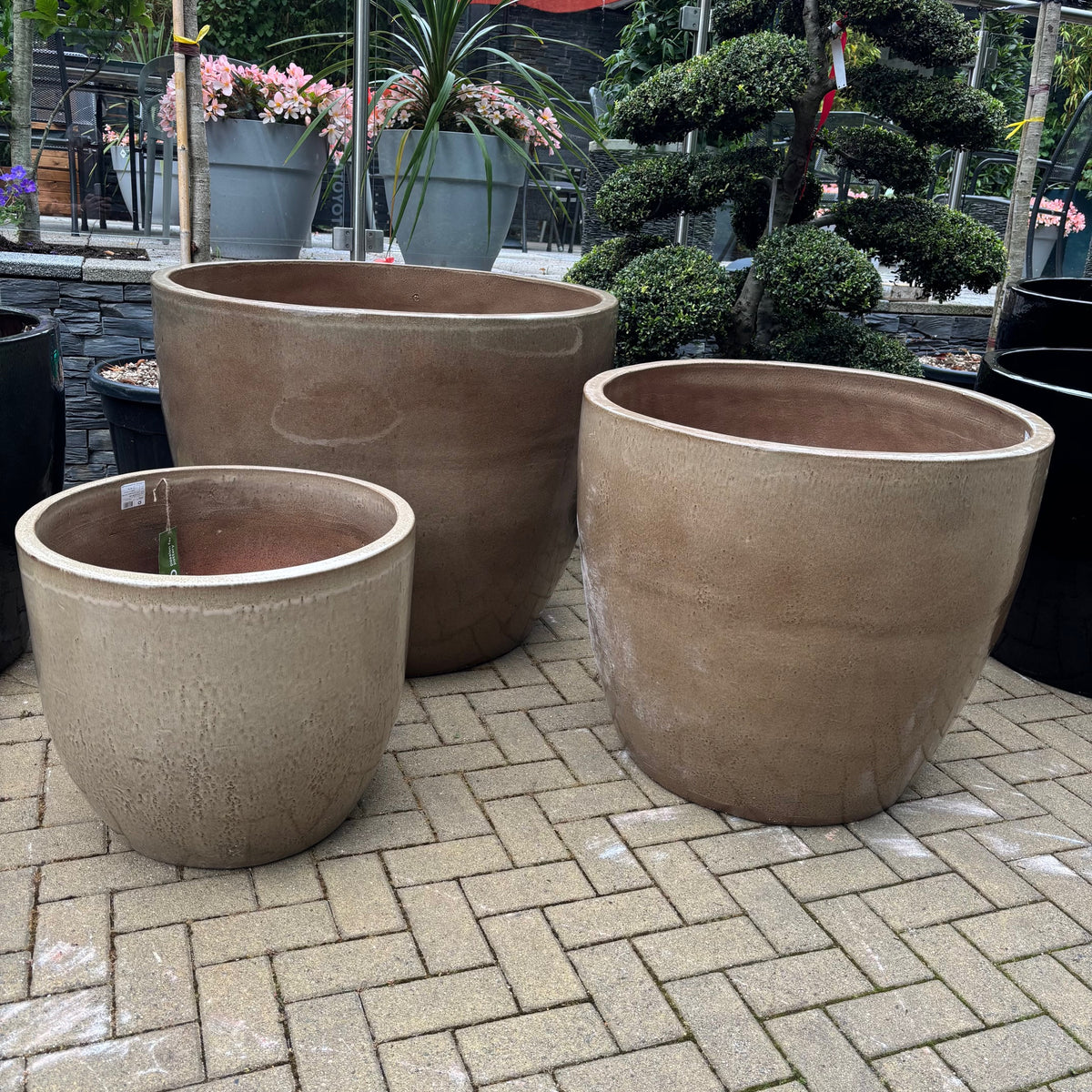 Hercules Glazed Garden Planters L, XL and XXL in black, biscuit or dark green