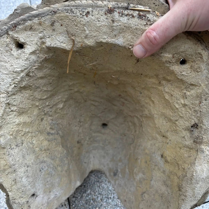 Lions Head Wall Mounted Water Feature