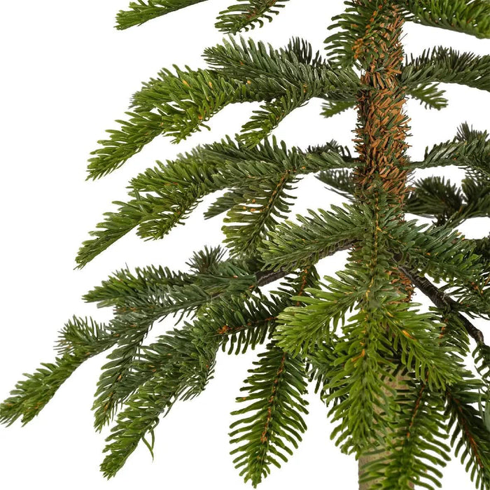 Everlands Alpine Fir Trio of Trees (5ft, 6ft, 7ft)