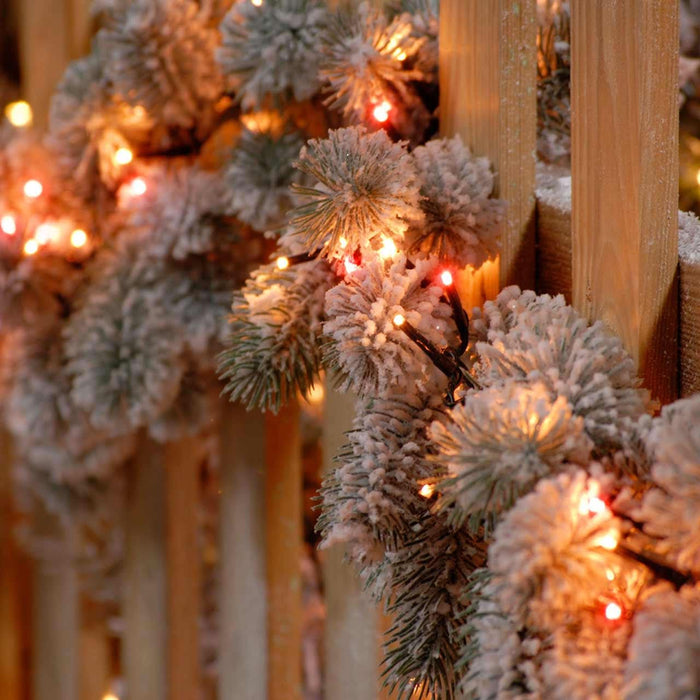 Festive Compact LED Lights Red/Warm White 2000