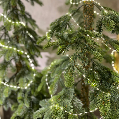 Everlands Alpine Fir Tree 210cm / 7ft