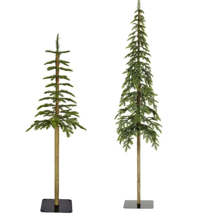 Everlands Alpine Fir Duo of Trees (4ft, 5ft)