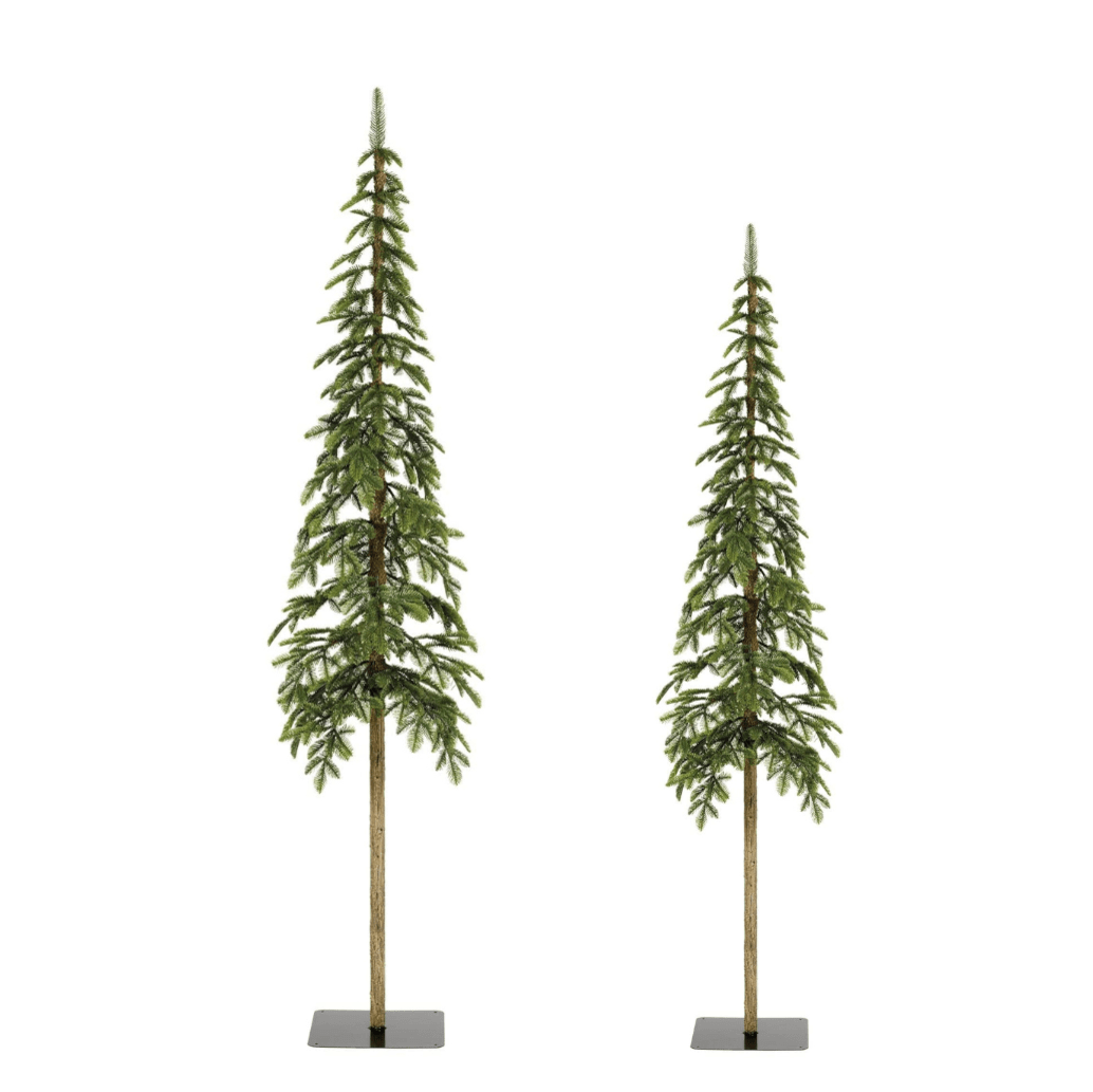 Everlands Alpine Fir Duo of Trees (5ft, 6ft)