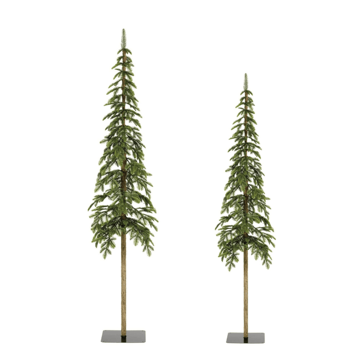 Everlands Alpine Fir Duo of Trees (6ft, 7ft)