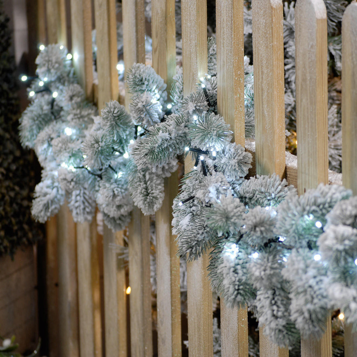 Festive Compact LED Lights White 2000