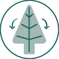 Everlands Grandis Fir Christmas Tree 360cm / 12ft (ex-display)