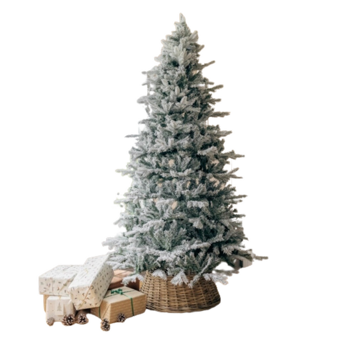 Everlands Frosted Vermont Spruce 300cm / 10ft (Ex-display)