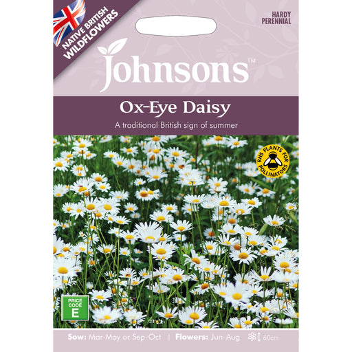 Wildflowers Ox-Eye Daisy
