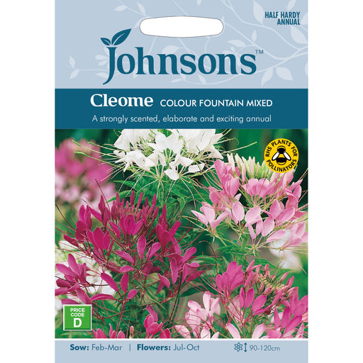 Flowers Cleome Colour Fountain Mixed