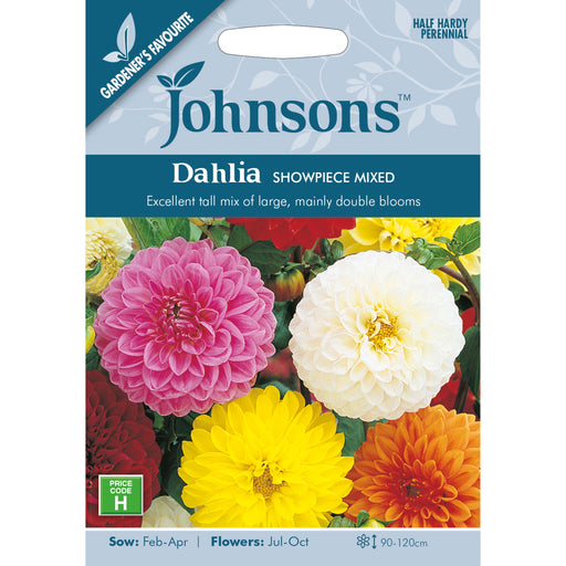 Flowers Dahlia Showpiece Mixed