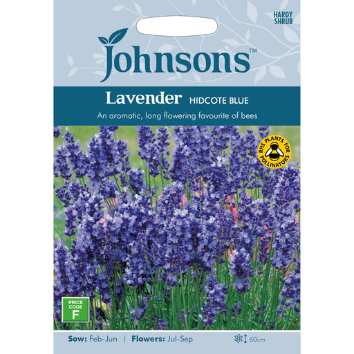 Flowers Lavender Hidcote Blue