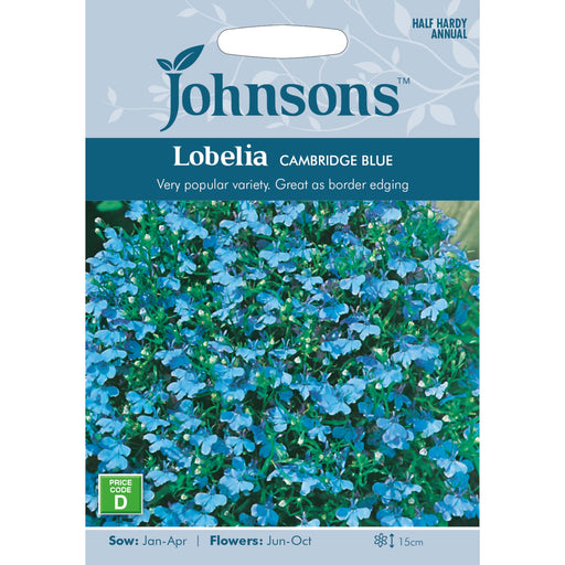 Flowers Lobelia Cambridge Blue