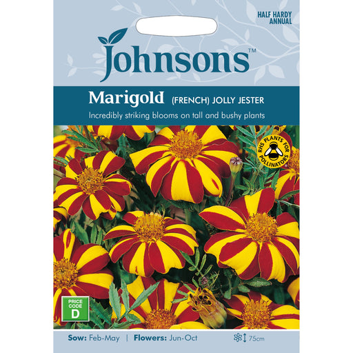 Flowers Marigold (French) Jolly Jester