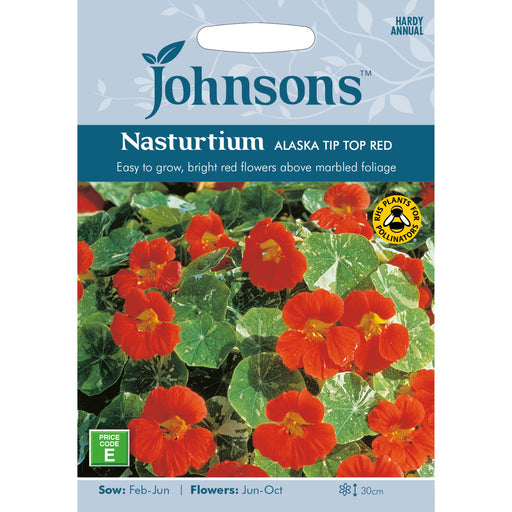 Flowers Nasturtium Alaska Tip Top Red