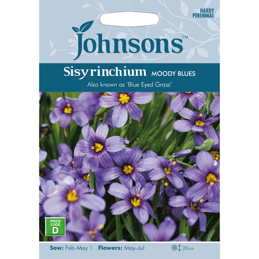 Flowers Sisyrinchium Moody Blues