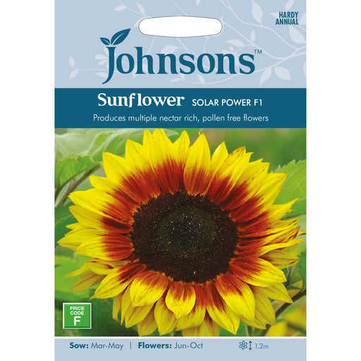 Flowers Sunflower Solar Power F1