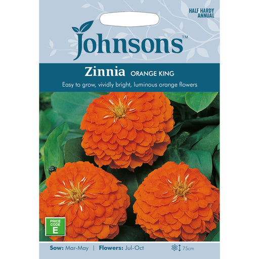 Flowers Zinnia Orange King