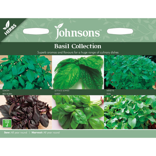 Herbs Basil Collection