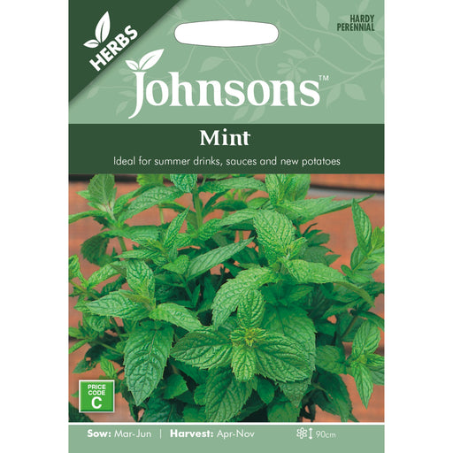 Herbs Mint