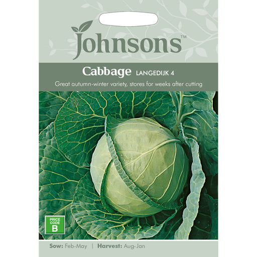 Vegetables Cabbage Langedijk 4