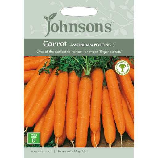 Vegetables Carrot Amsterdam Forcing 3