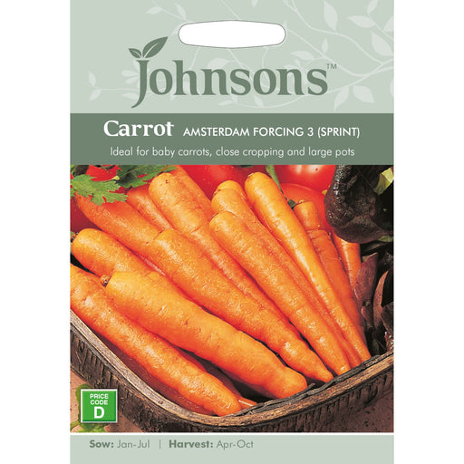 Vegetables Carrot Amsterdam Forcing 3 (Sprint)