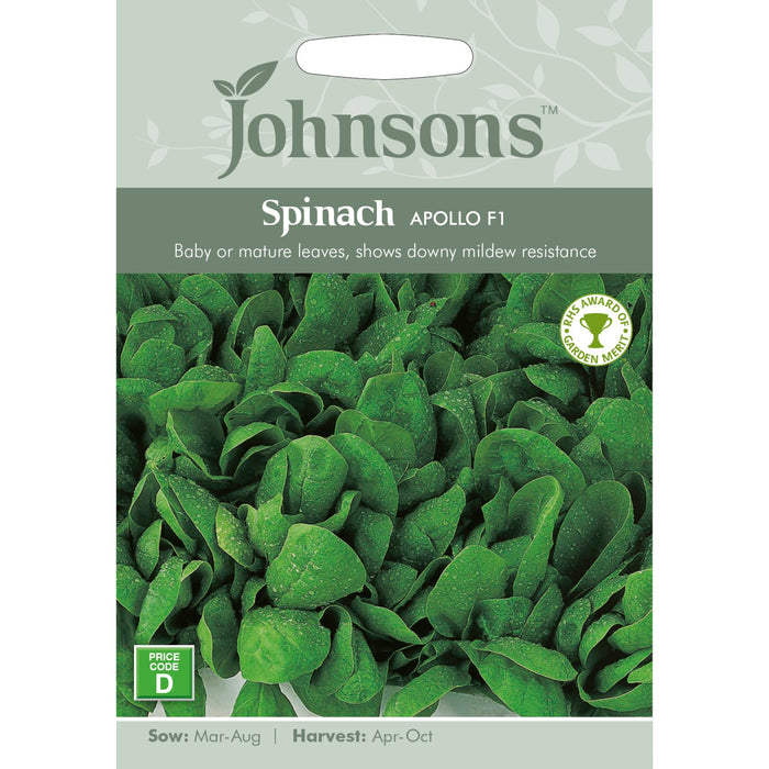 Vegetables Spinach Apollo F1
