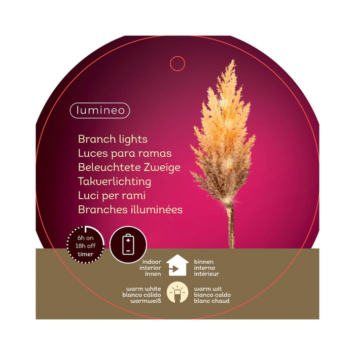 Lumineo LED Pampas Grass Warm White (12 Lights)
